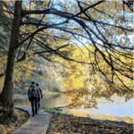 Explore Monroe County NY hiking trails through fall foliage in a hikers paradise